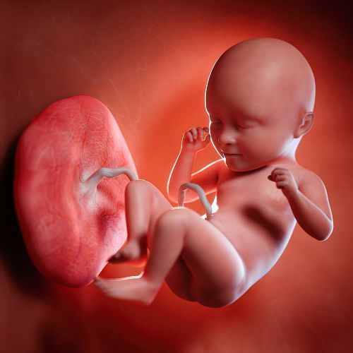 What Does “Restricted Blood Flow” Mean in Pregnancy?