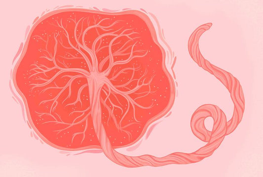 Your Doctor Mentioned a Low-Lying Placenta? Here’s What It Really Means