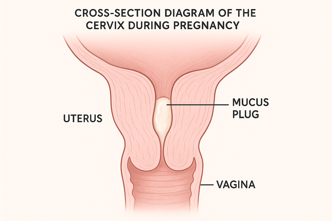 Losing Your Mucus Plug? 10 Common Questions Moms-to-Be Ask