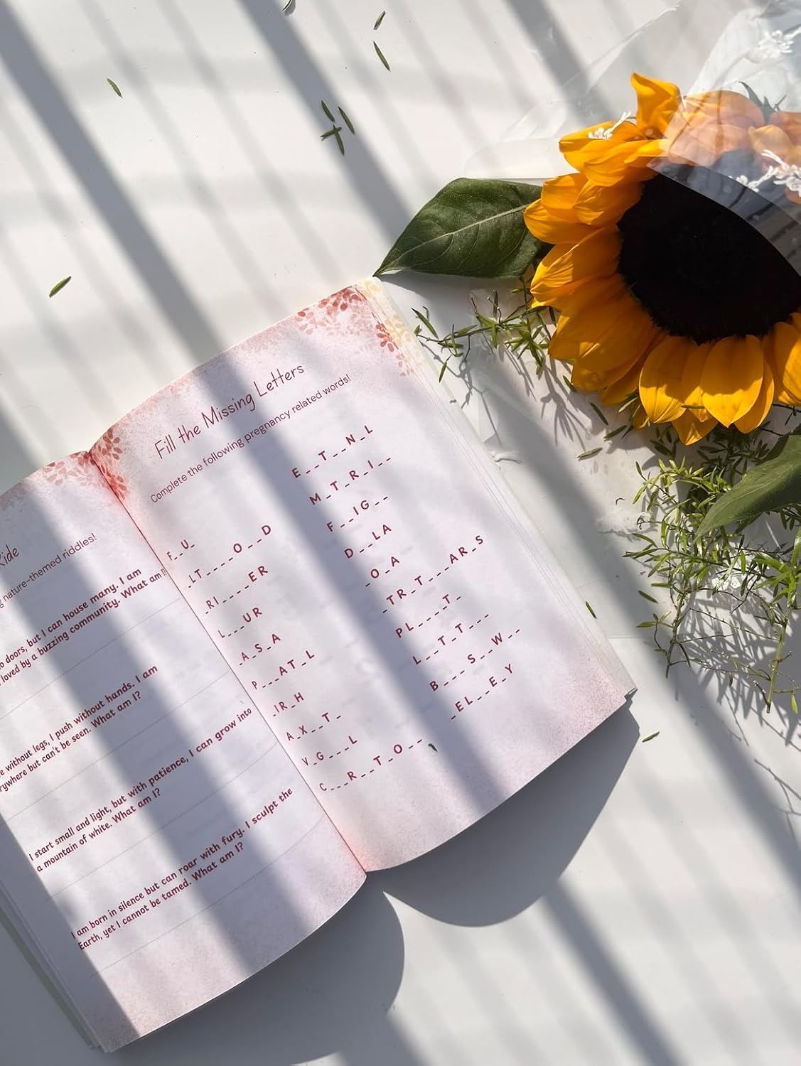 Pregnancy Brain Activity Bundle - Book + PDF