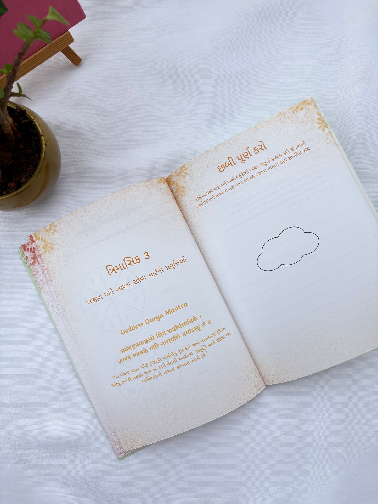 Pregnancy Brain Activity Book - GUJARATI (Limited Edition)